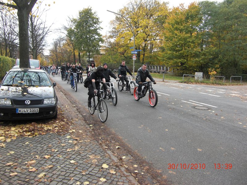 Halloween Cruise Tierfreund 36